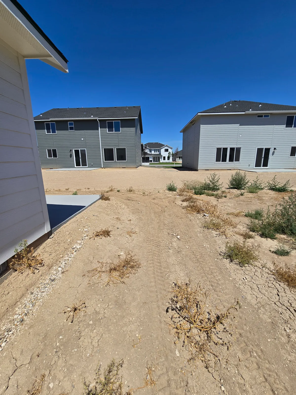 Fertilization & Weed Control